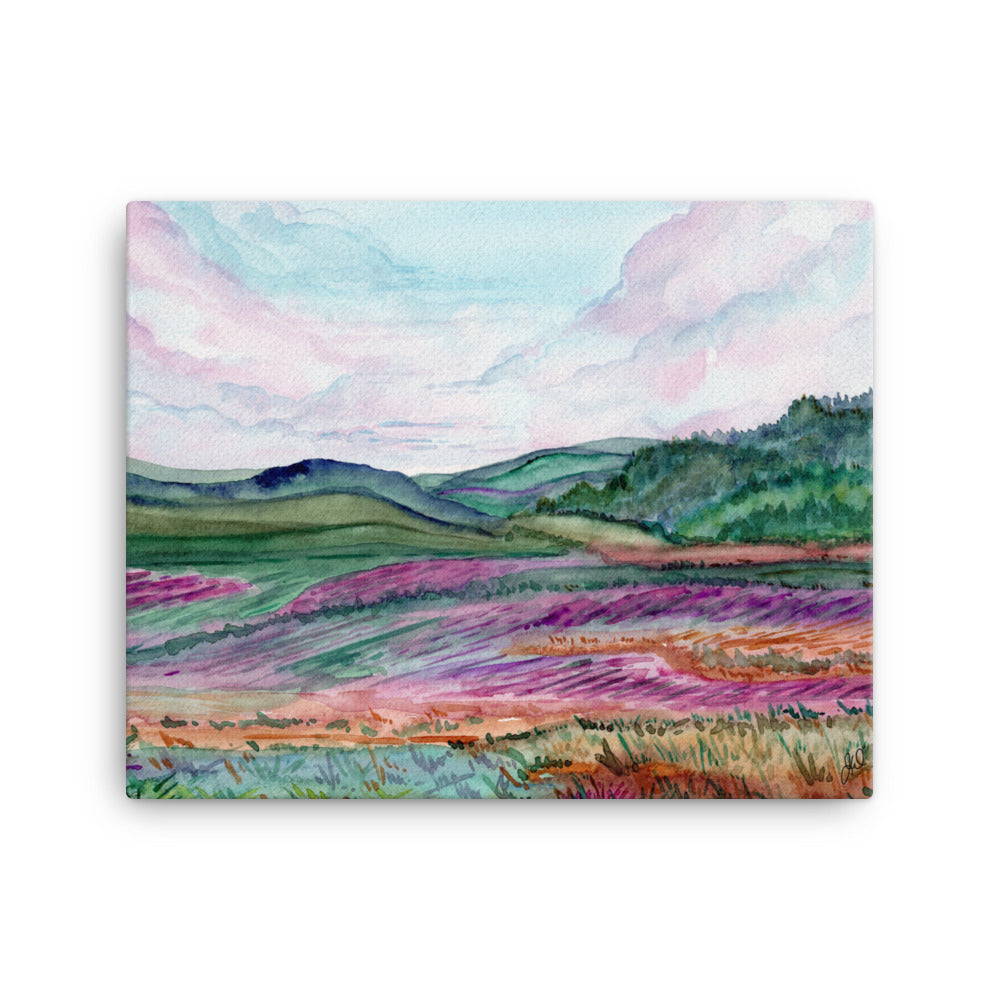 A Walk Through the Meadows