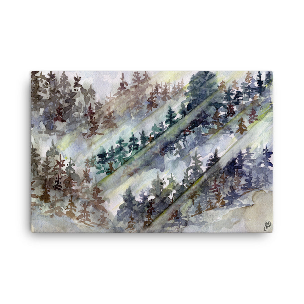 Through the Woods